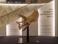 Dealer exhibits dinosaur at department store Harrods