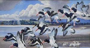 Charles Tunnicliffe watercolour