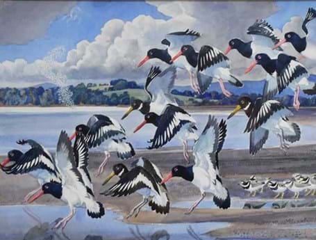 Charles Tunnicliffe watercolour