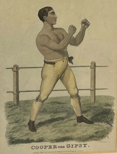 Boxer print
