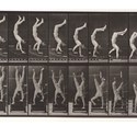 WEB Eadweard Muybridge, Man performing a handstand on stairs.jpg