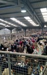 Muck and brass: Yorkshire delight at Bowman Fairs' first Skipton fleamarket