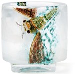 Emile Galle grasshopper glass vase on offer in Paris