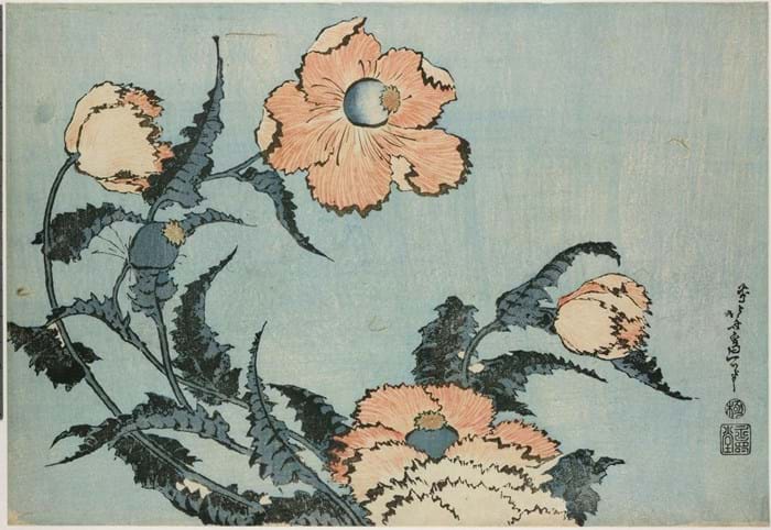 WEB Hokusai 4 22-5-17.jpg