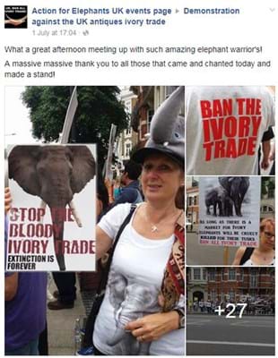 Action For Elephants