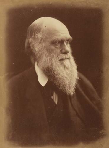 Charles Darwin by Julia Margaret Cameron