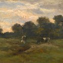 Van Gogh's Cows In The Meadow