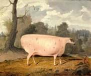 Naive livestock paintings brighten the gloom around traditional 19th century art
