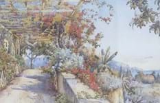 'Flowers & Gardens of Madeira' watercolour sells at Thomson Roddick