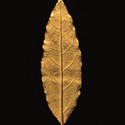 Napoléon gold leaf