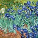13-08-27-2105NE04A Van Gogh Irises.jpg