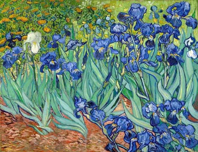 13-08-27-2105NE04A Van Gogh Irises.jpg