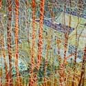 ‘The Architect’s Home' by Peter Doig