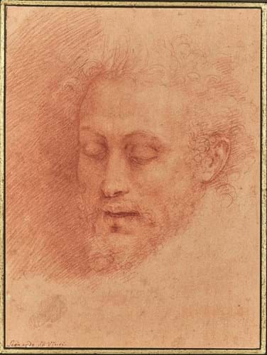 Head of John the Baptist by Cesare da Sesto