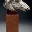 Greek horse's head