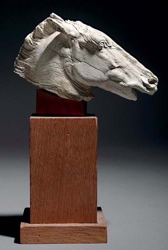 Greek horse's head