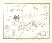 Well-known map featured on endpapers of Winnie-the-Pooh returns to auction after nearly 50 years