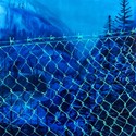 Lucy Smallbone_Fence_2018_Signed_Titled_Oil on board_80x60_hi res.jpg