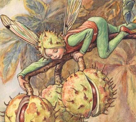The Horse Chestnut Fairy © The Estate of Cicley Mary Barker 1926web.jpg