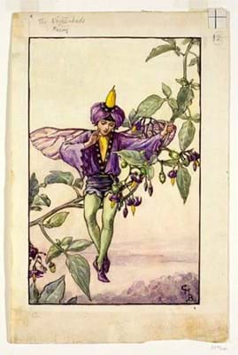 The Nightshade Fairy © The Estate of Cicley Mary Barker 1925.jpg
