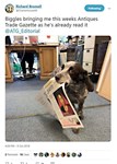 The Back Page: Canine reader gets his teeth into Charterhouse auctioneer's copy of ATG 