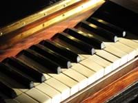 Export of piano keys ‘distort ivory statistics’