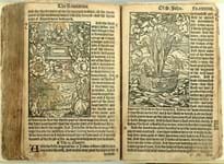 Tyndale Bible is eye-opener at Chiswick Auctions