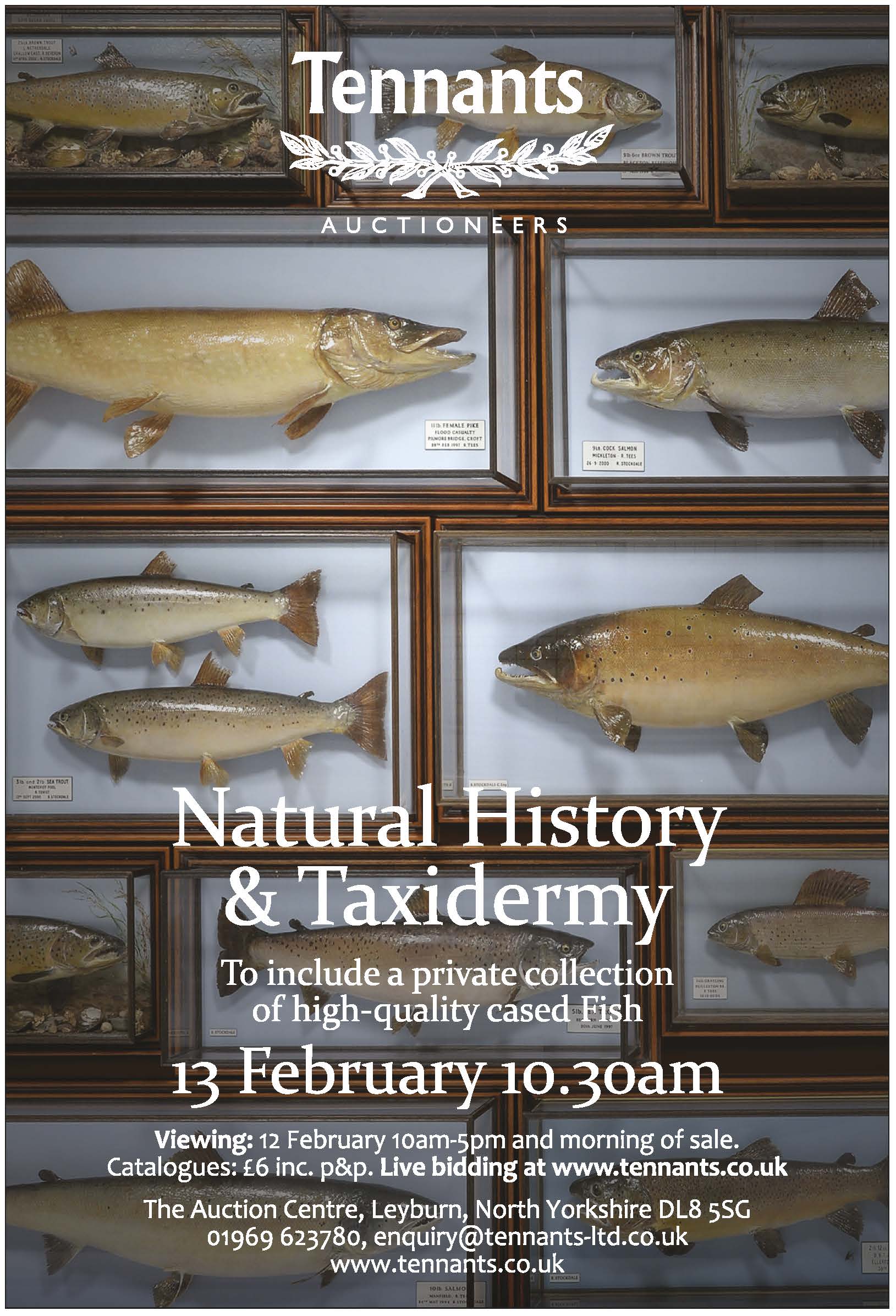 Tennants - Natural History & Taxidermy.jpg