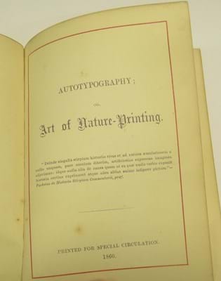 Henry Bradbury's Autotypography