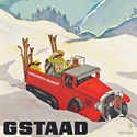 Gstaad, designed by Alex Walter Diggelmann