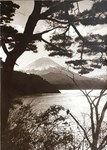 Japanese focus comes into view at London Photograph Fair
