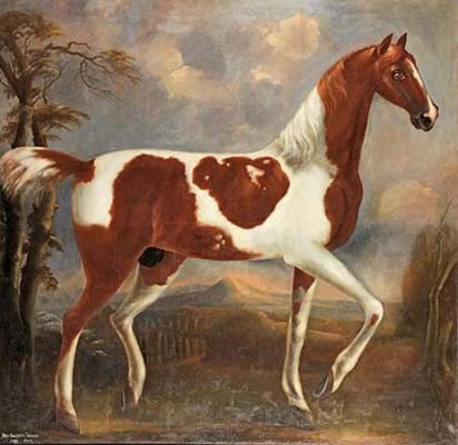 Ned Baldry horse.jpg