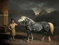 Courageous bids on a pale ale horse painting at Woolley & Wallis