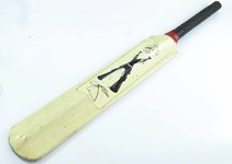 ‘Banned’ bats welcomed at auction