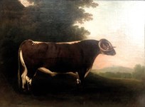 Livestock painter Boultbee shows his natural attraction