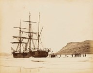 Arctic expedition group bears up well at Forum Auctions