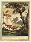 Famous fables at Christie's sale of French family library