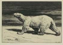 Affordable art: Three works sold for under £900 including a Herbert Thomas Dicksee polar bear print