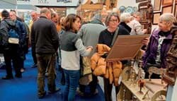 Art and Antiques for Everyone: ‘We’re rebuilding from the ground up’