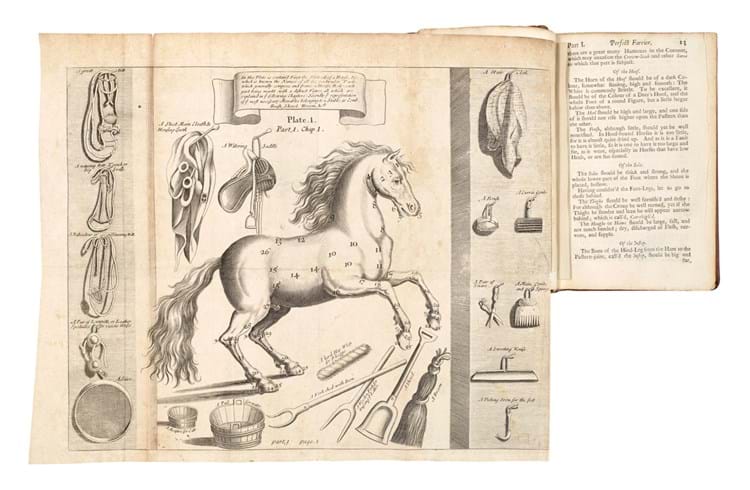Jacques de Solleysel, The compleat Horseman (1706).jpg