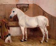 Tennants go under starter’s orders for a new sporting art sale