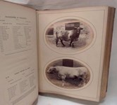 Shorthorn Society collection in the spotlight at Carlisle auction