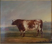 David Dalby cattle portrait leads Shorthorn Society auction