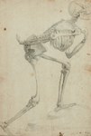 Pick of the week: The bones of a fine Old Master drawing
