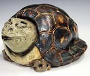 £17,000 Martinware tortoise emerges from hibernation