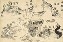 News in Brief – including the British Museum buying a collection of Katsushika Hokusai drawings