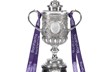 Bonhams FA Cup.jpg
