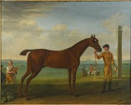 Rare racehorse pictures given a sporting chance