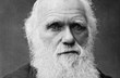 Charles Darwin 1881 Barraud.jpg