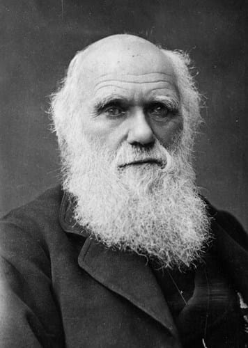 Charles Darwin 1881 Barraud.jpg
